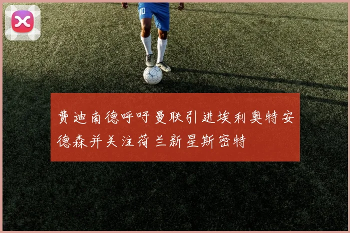 费迪南德呼吁曼联引进埃利奥特安德森并关注荷兰新星斯密特