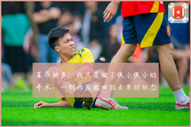 莱昂纳多：我只是做了很小很小的手术，一到两周能回到去年的状态