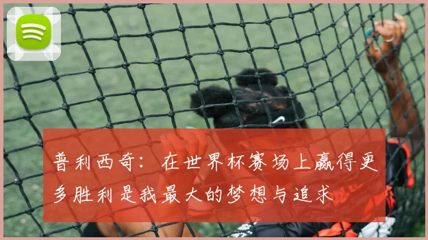 普利西奇：在世界杯赛场上赢得更多胜利是我最大的梦想与追求