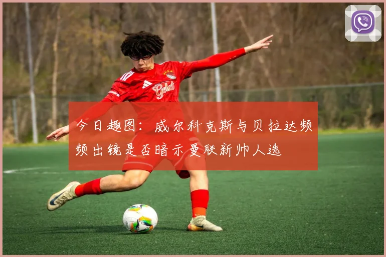 今日趣图：威尔科克斯与贝拉达频频出镜是否暗示曼联新帅人选