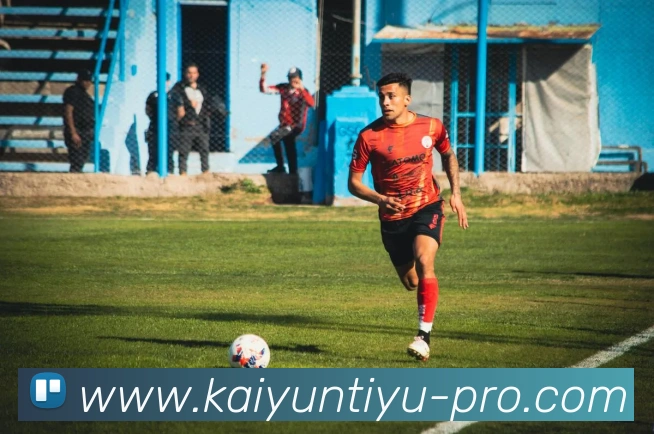 开云平台生态图